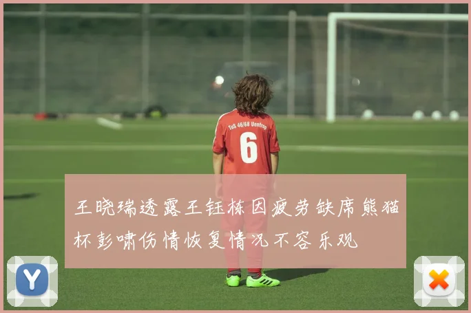王晓瑞透露王钰栋因疲劳缺席熊猫杯彭啸伤情恢复情况不容乐观