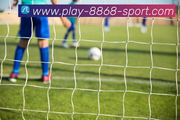 8868体育APP 封面图